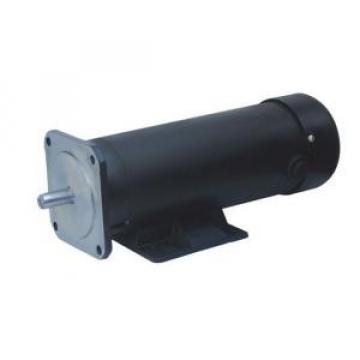 123ZYT Heard  Series Electric DC Motor 123ZYT-110-1000-1700