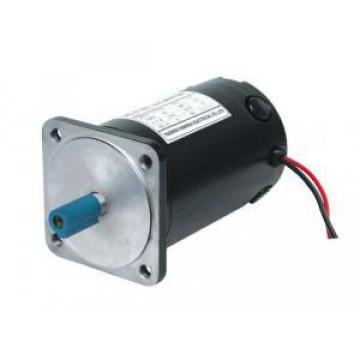 100ZYT Djibouti  Series Electric DC Motor