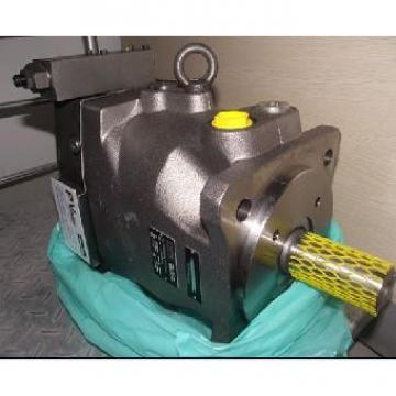 Plunger Guynea  PV series pump PV20-2L1D-C00
