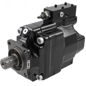 P6P2R1C8A4A00 pumps Original import