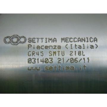 Settima Cambodia  Meccanica Elevator Hydraulic Screw Pump GR 45 SMTU 210L